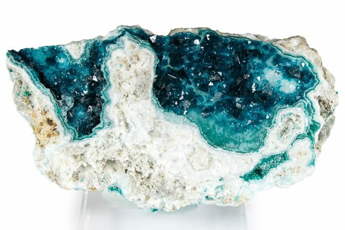 Sparkling Blue Veszelyite Cluster on Hemimorphite - Congo #351599